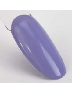 GEL OMBRE ORNAMENTY... 2