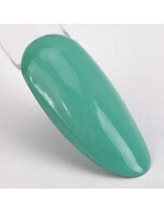 GEL OMBRE ORNAMENTY... 2