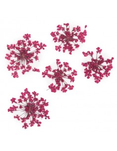 Dekor tørkede blomster...