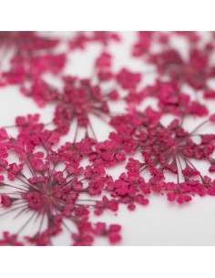 Dekor tørkede blomster... 2