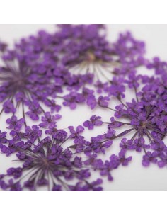 Dekor tørkede blomster... 2