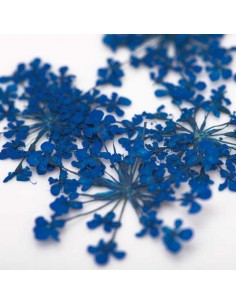 Dekor tørkede blomster... 2