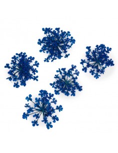 Dekor tørkede blomster...