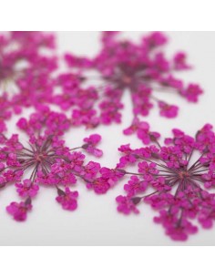 Dekor tørkede blomster... 2