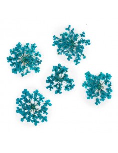 Dekor tørkede blomster...