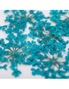 Dekor tørkede blomster... 2