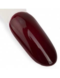 Ntn Premium Oriental Delice...