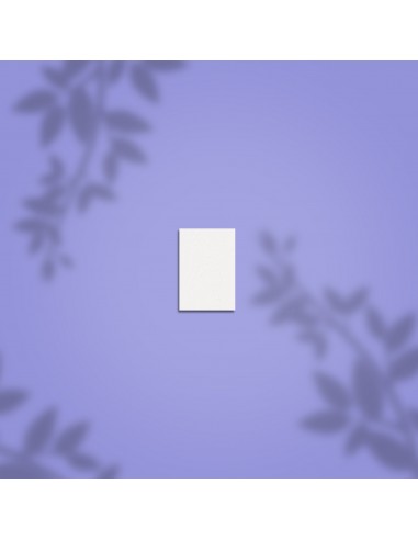 Sliping buff rektangulær mini STALEKS...