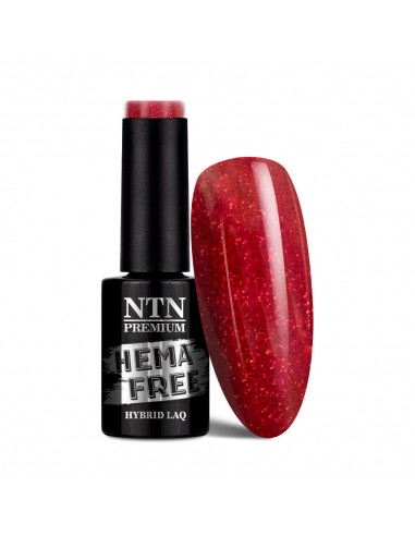 NTN Premium Fiesta Collection...