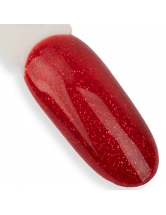 NTN Premium Fiesta... 2