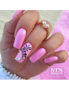 NTN Premium Splash... 2