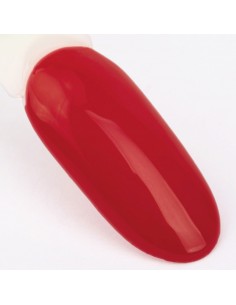 Ntn Premium Viral colors... 2