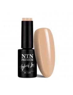 NTN Premium Day Dreaming...