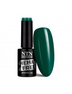 NTN Premium Uptown Girl...