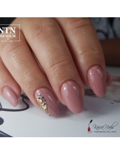 NTN Premium Topless... 2