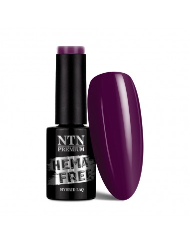 Ntn Premium Romantica Collection...