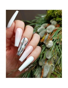 Ntn Premium Gossip Girl... 2