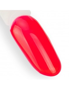 Ntn Premium California... 2