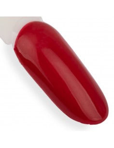 Ntn Premium Romantica... 2