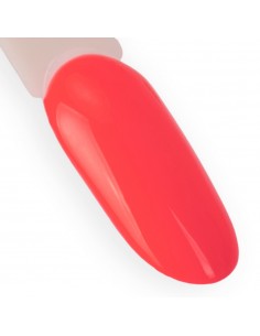 NTN Premium Dessert... 2