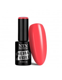 NTN Premium Dessert...