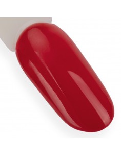 Ntn Premium Celebration... 2