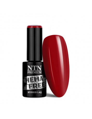 NTN Premium Fiesta Collection...