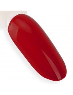 NTN Premium Fiesta... 2