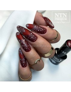 Ntn Premium Show Collection... 2