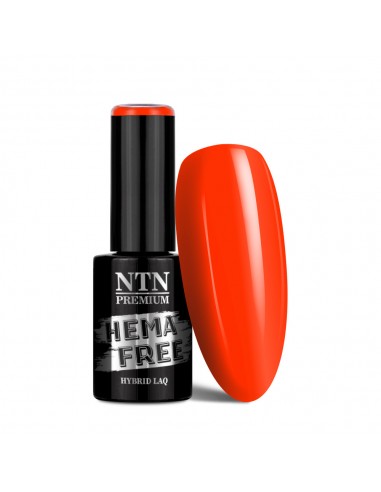 NTN Premium California Collection...