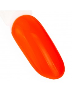 NTN Premium California... 2