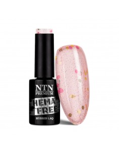 Ntn Premium Impression...