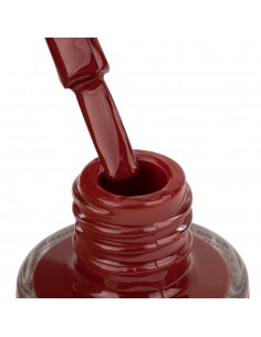 NTN Premium burgunder... 2