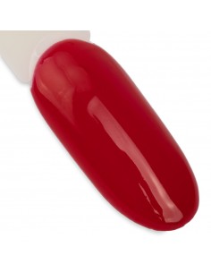 Ntn Premium Oriental Delice... 2