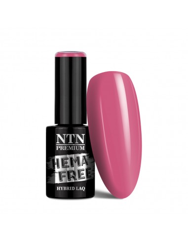 NTN Premium Uptown Girl Collection...