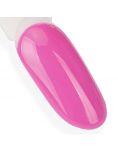 NTN Premium California... 2