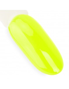 NTN Premium California... 2