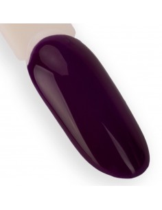 NTN Premium Splash... 2