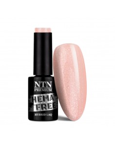 NTN Premium Day Dreaming...