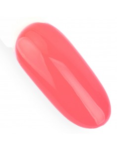 Ntn Premium Design Your... 2