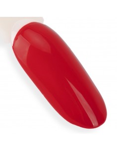 NTN Premium Show Collection... 2