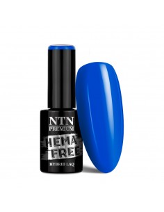 NTN Premium Springtime...