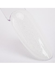 NTN Premium Fiber Overlay... 2