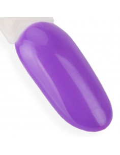 NTN Premium Garden Party... 2