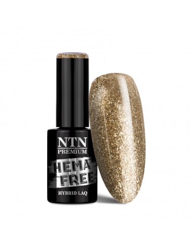 NTN Premium Celebration Collection...