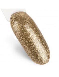 NTN Premium Celebration... 2