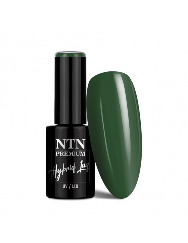 NTN Premium Fiesta Collection...