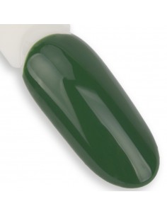 NTN Premium Fiesta... 2