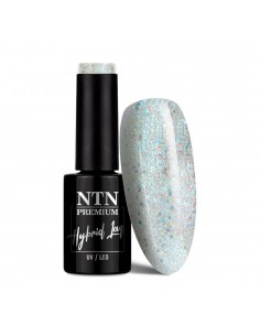 NTN Premium Fiesta...