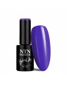 NTN Premium Fiesta...